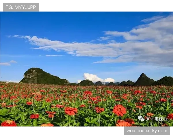 云南玉昆胜场含金量十足 大胜传统豪门展现实力上限
